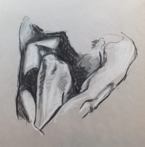 20 minute study of female form
