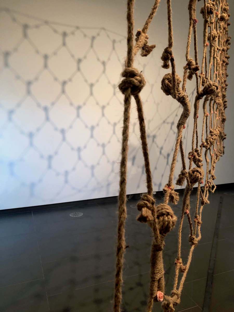 sanderson a common reality net detail of polarization bias