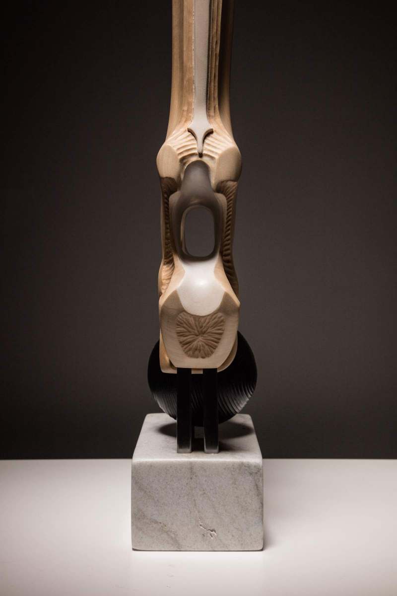 sanderson Torso abstract figurative sculpture in basswood, cedar, padauk and marble